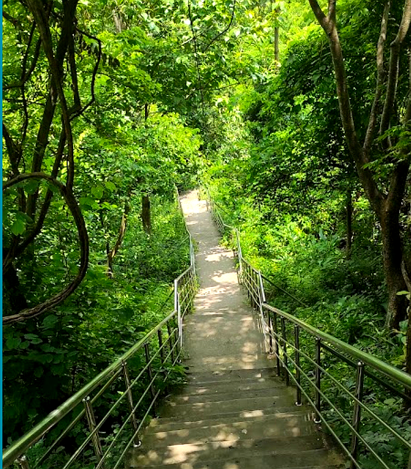 Sitakunda Eco Park and Botanical Garden